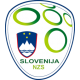 Slovenien landslagströja
